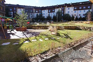 image_8