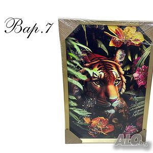 image_7