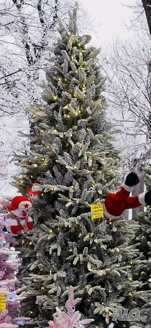image_4