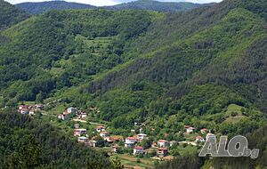 image_25