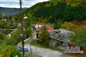image_21