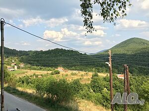 image_9