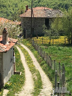 image_15
