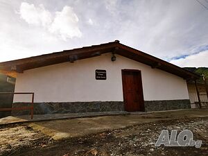 image_19