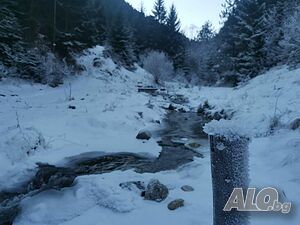 image_24