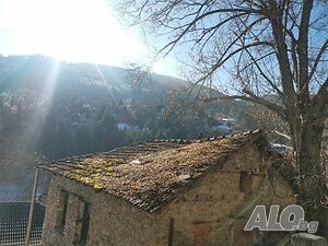image_26