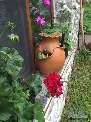 image_16