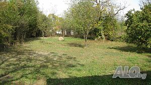 image_20