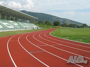 image_65