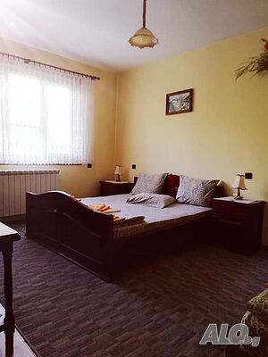 image_11