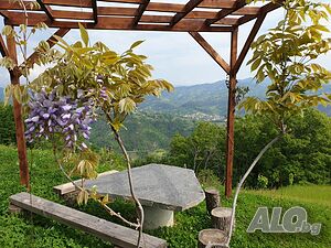 image_41