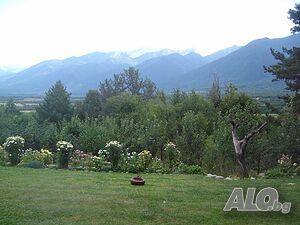 image_12