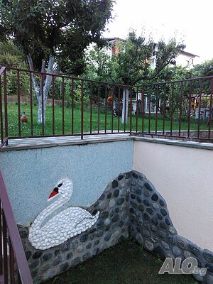 image_48