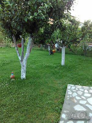 image_36