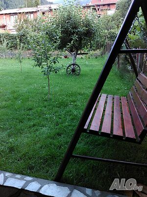 image_41