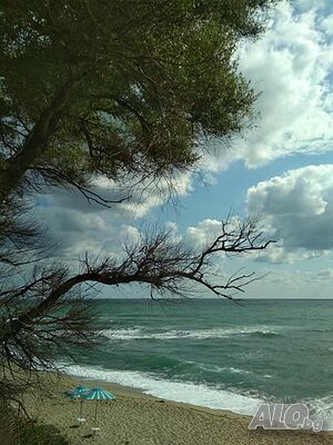 image_15