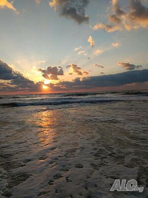 image_51