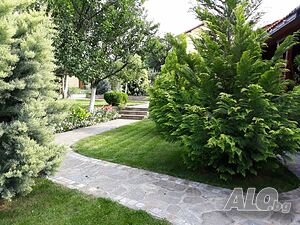 image_3