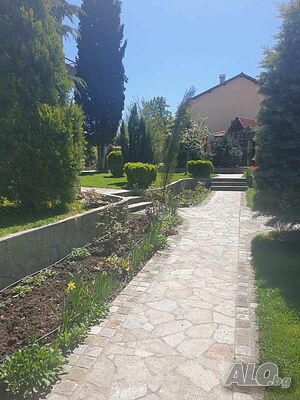 image_12