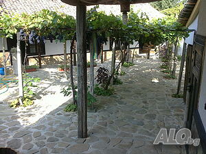 image_7