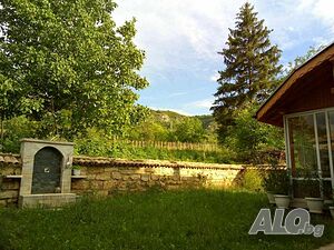 image_11