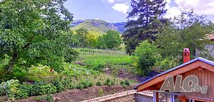 image_24