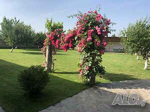 image_21