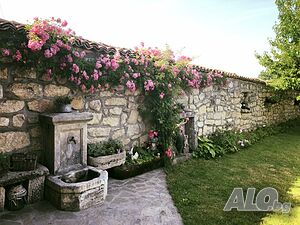 image_22