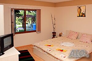 image_7