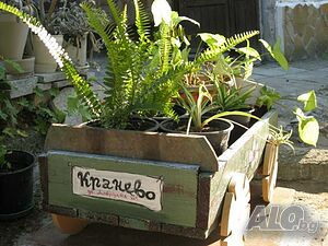 image_4