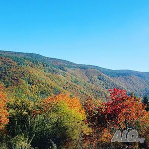 image_42