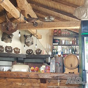 image_47