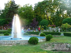 image_12