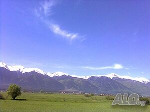 image_40