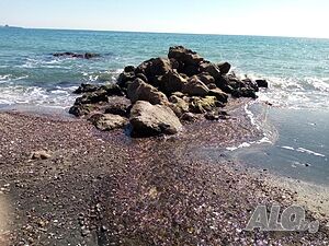 image_22