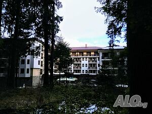 image_9