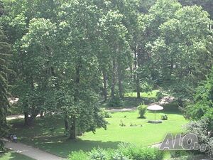 image_6