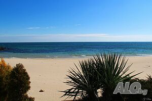 image_3