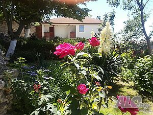 image_25