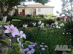 image_26