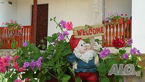 image_28
