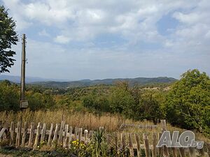 image_21