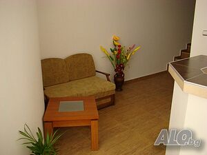 image_19