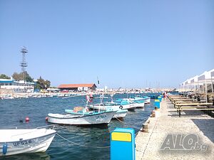 image_31