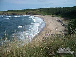 image_28