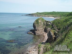 image_29