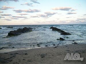image_38