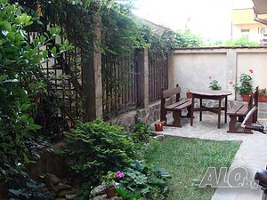 image_6