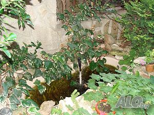 image_9