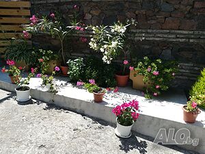 image_15